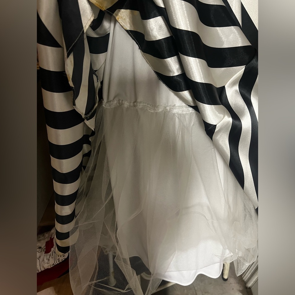 Adam Black and White Diagonal Stripe Maxi Skirt - Picture 6 of 6
